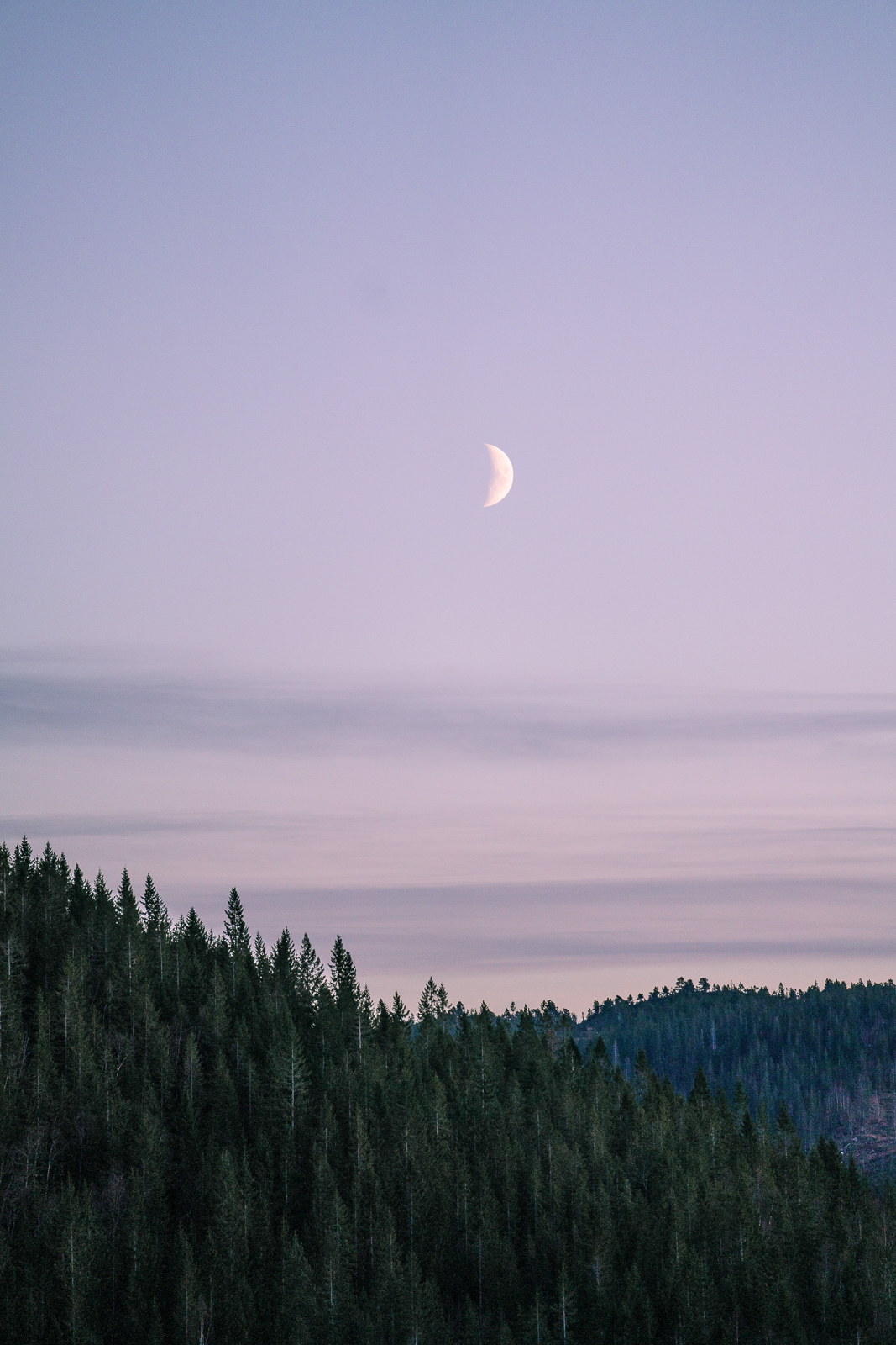 moon