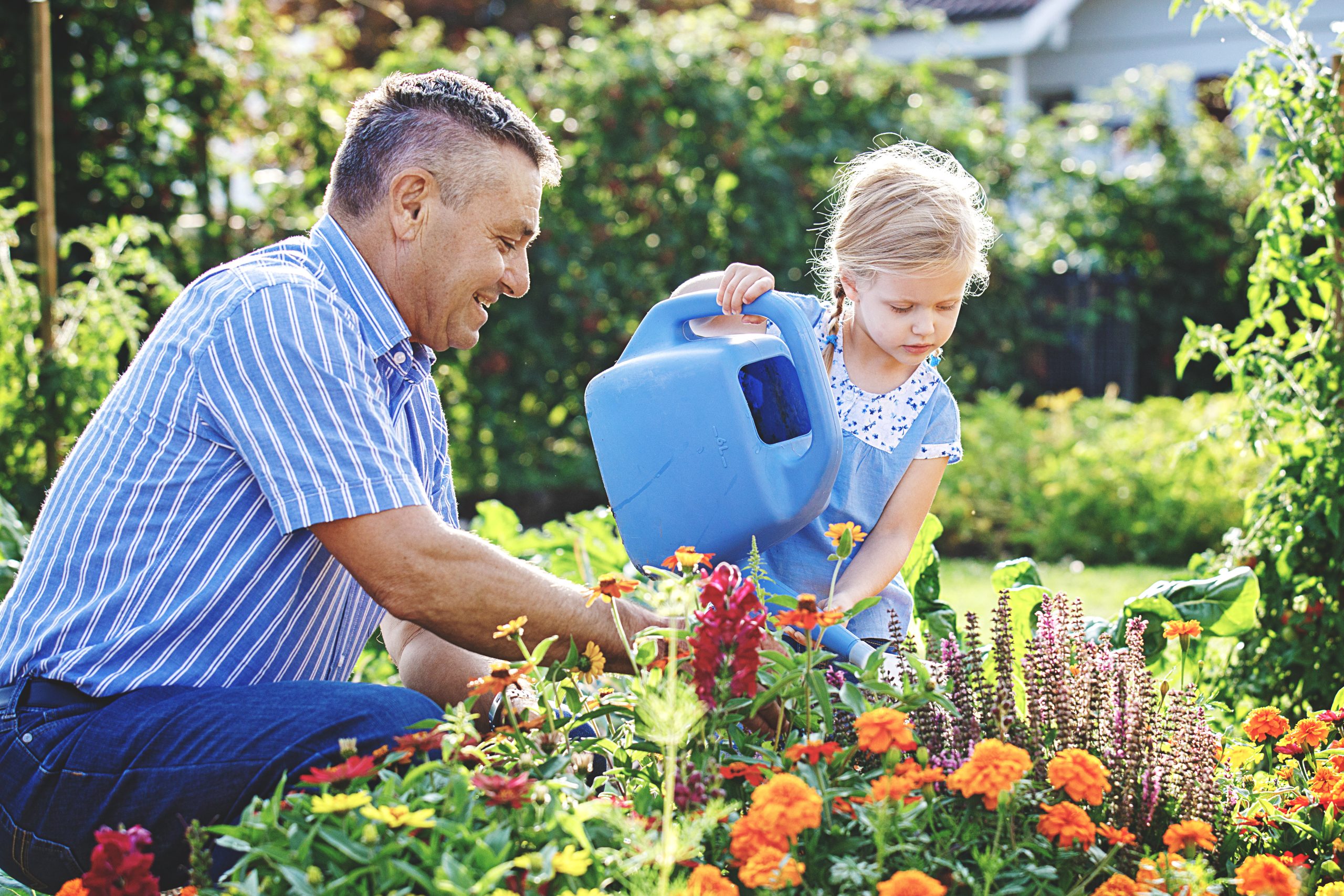 How-To Videos
