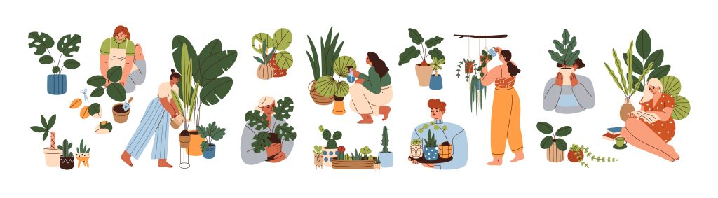 Home gardening and growing houseplants.