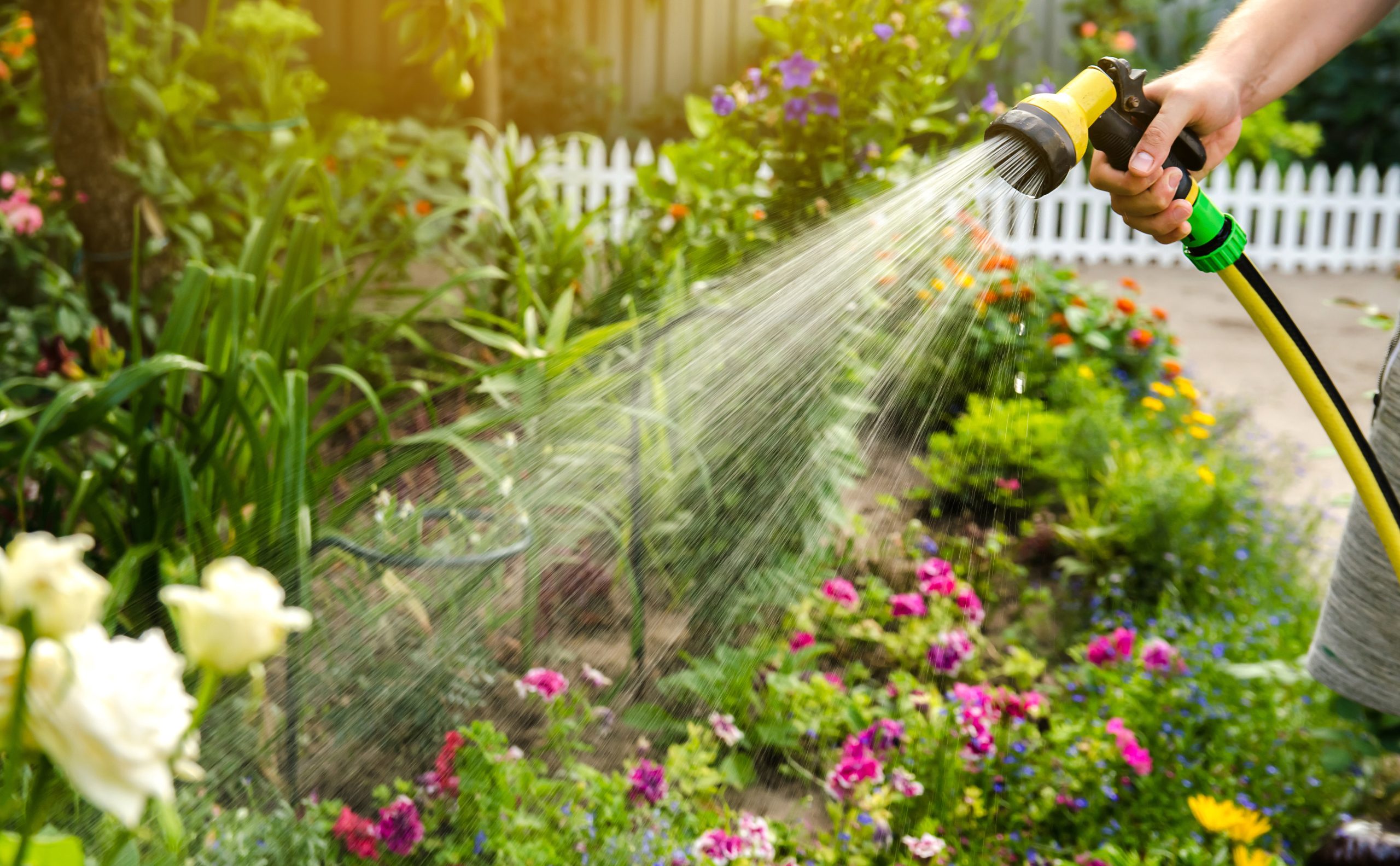 Plant Care