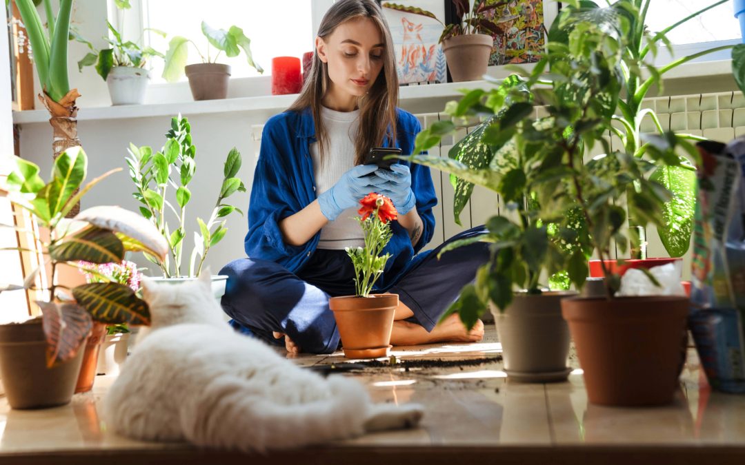 Pets & Plants