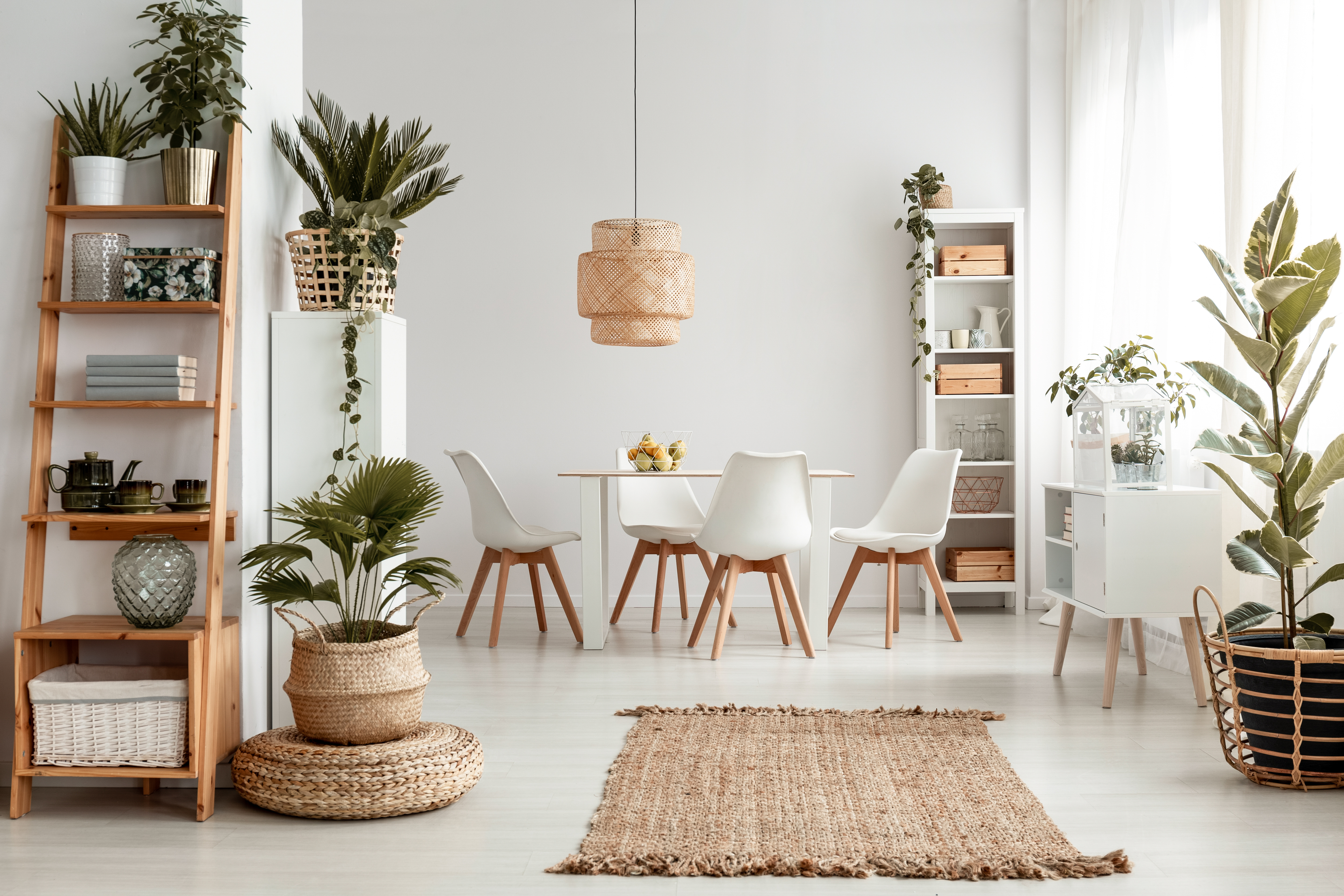 Interior Ideas