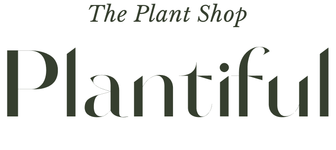 Plantiful