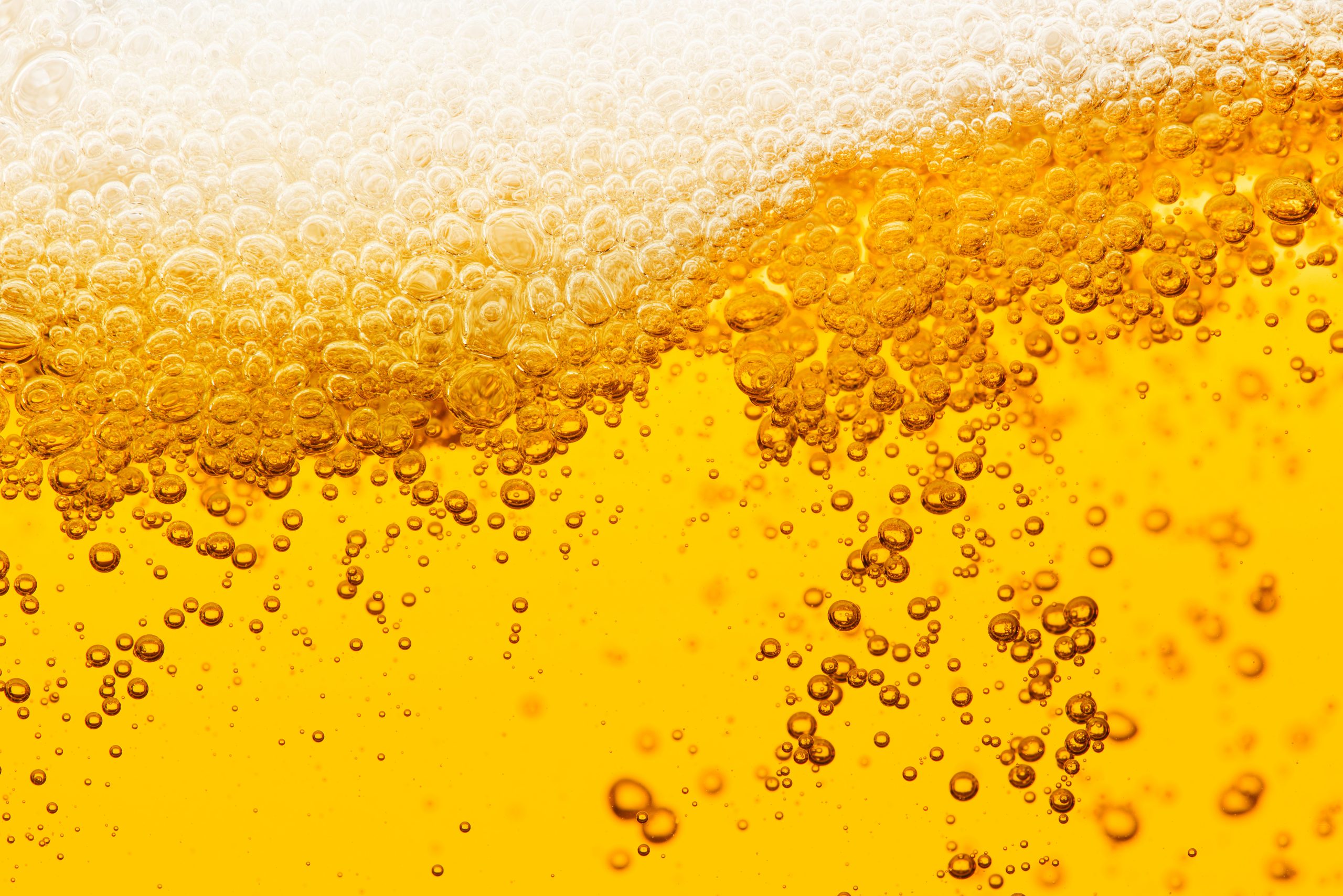 Lorem ipsum dolor #6