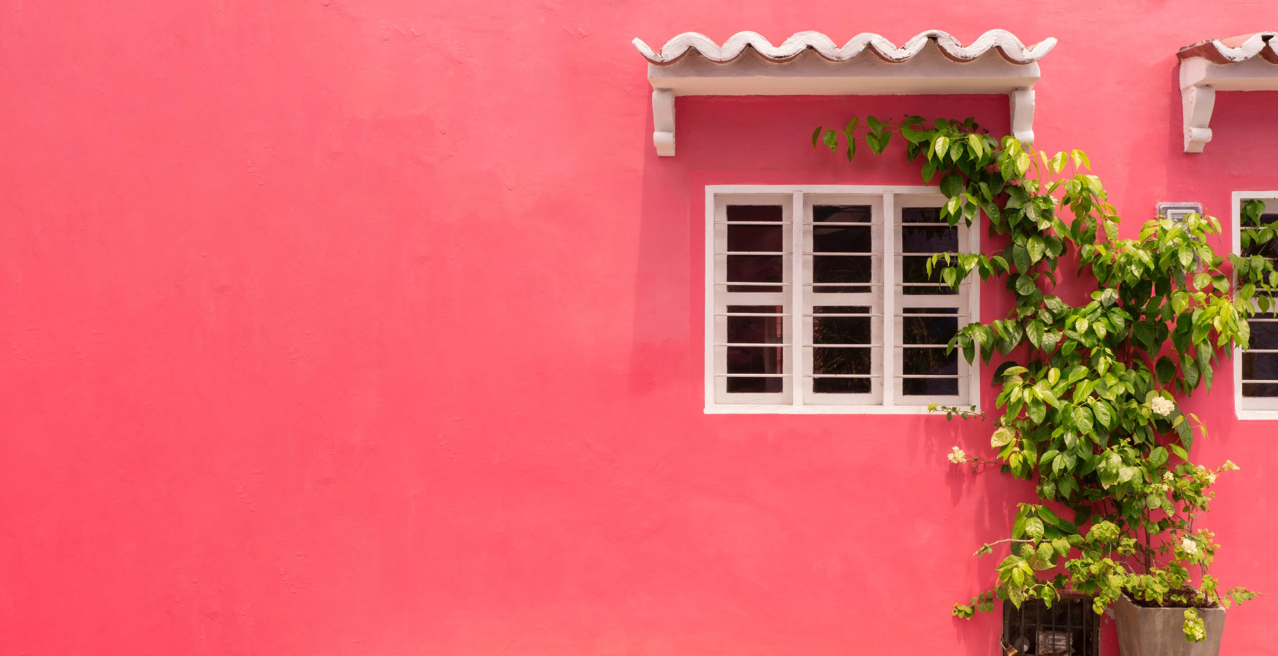 Lorem ipsum dolor #4